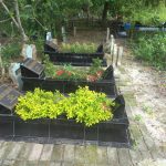 Makam Mbah dan Pakde